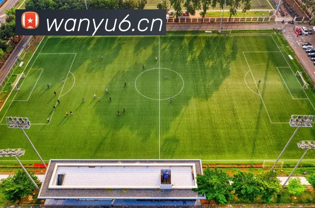 App Interface Preview