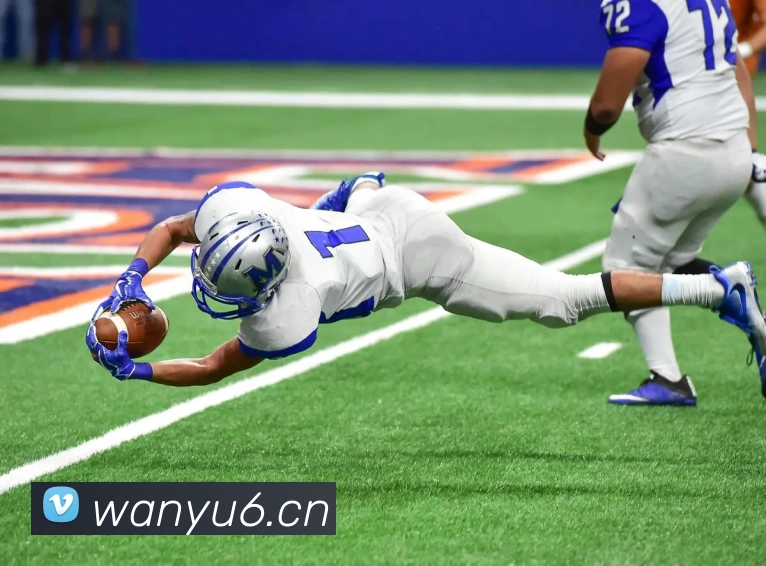 hth华体官网登录入口APP 封面图